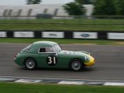 image_2-AUSTIN HEALEY Speedwell Sebring - 1958