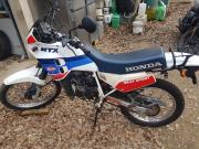 image_3-HONDA MTX Lee Cooper - 1987