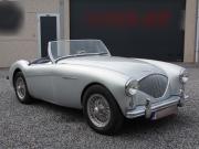 image_0-AUSTIN HEALEY 100 BN1 - 1954