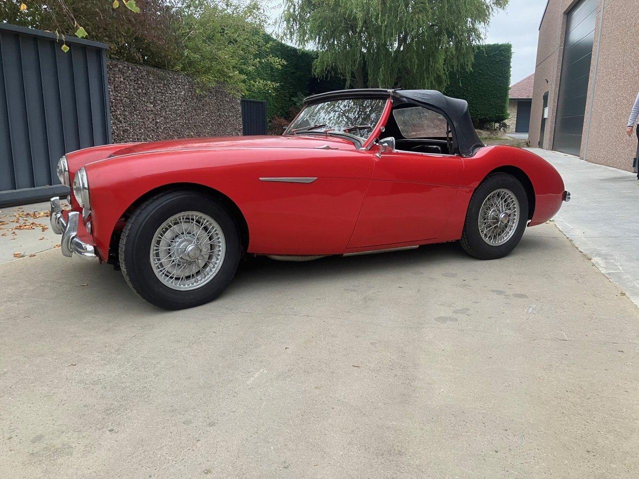 1953 Austin-Healey 100 LesAnciennes.com