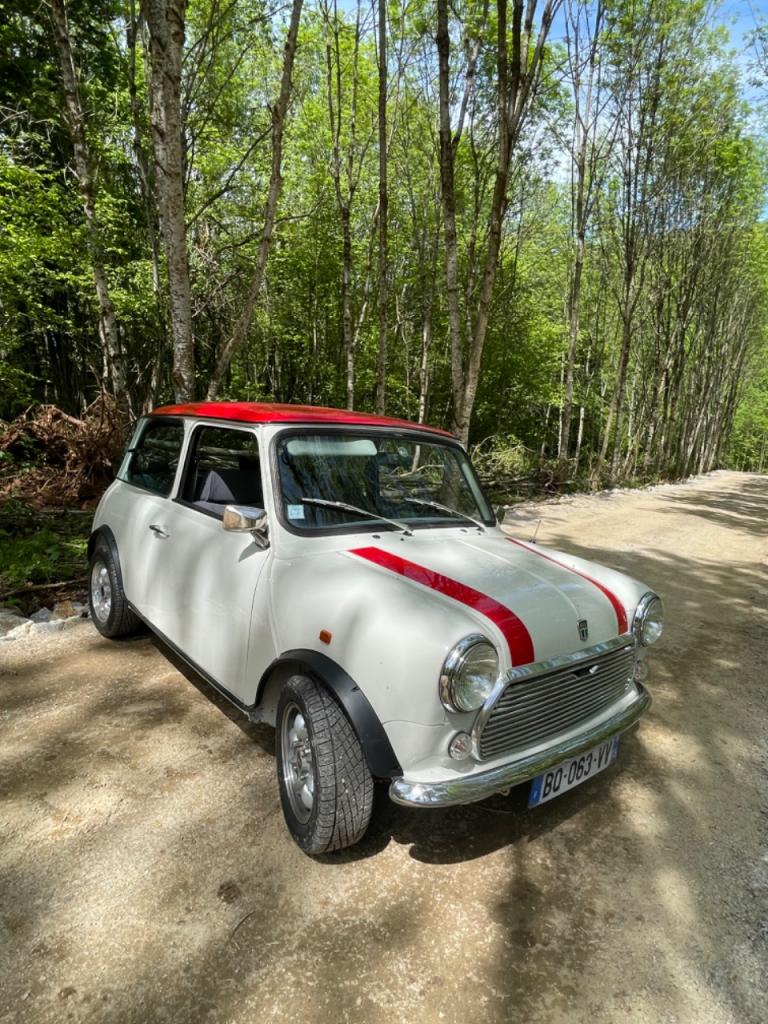 AUSTIN Mini - 1993 LesAnciennes.com