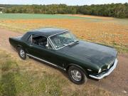 image_5-FORD Mustang GT code K - 1966