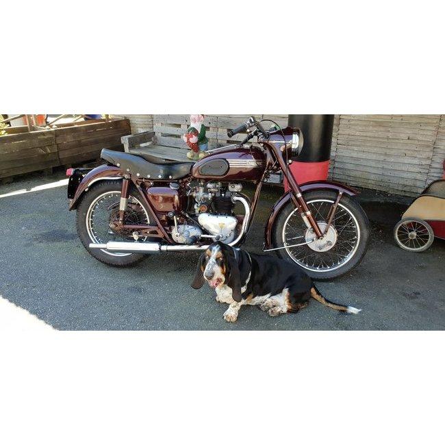 TRIUMPH 5T - 1955 LesAnciennes.com
