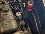 image_3-PEUGEOT 203 - 1956