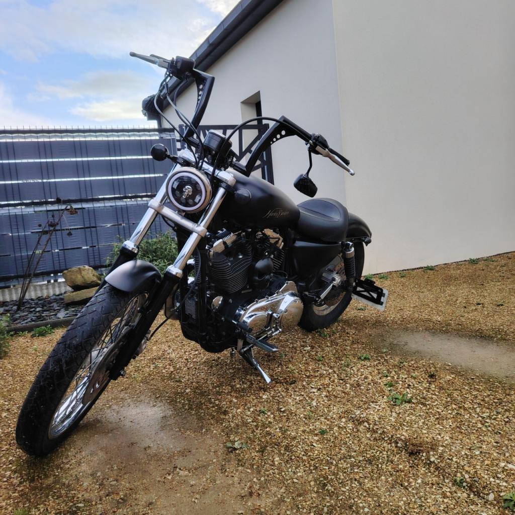 HARLEY DAVIDSON Sportster XL CUSTOM - 2004 LesAnciennes.com