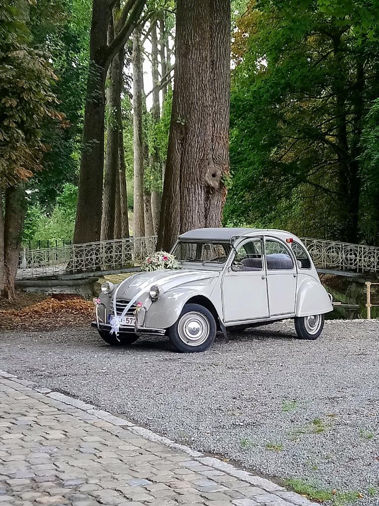 CITROEN 2CV AZAM - 1966 LesAnciennes.com