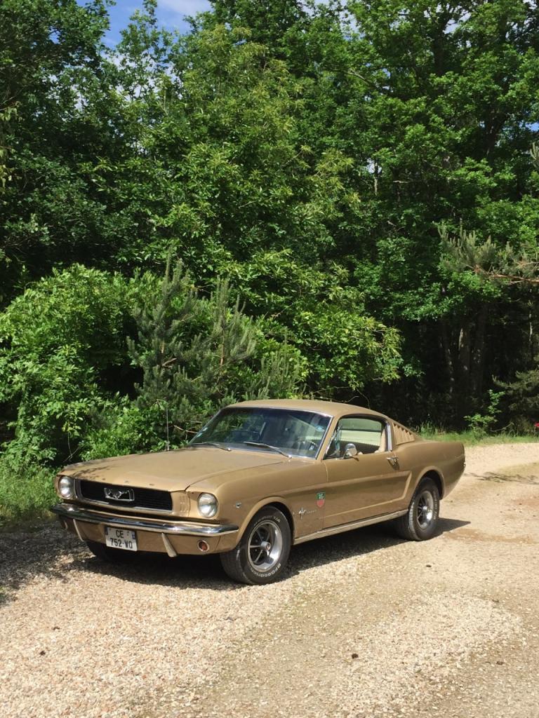 FORD Mustang Fastback Code C - 1966 LesAnciennes.com