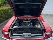 image_14-FORD Mustang coupe - 1967