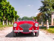 image_1-AUSTIN HEALEY 100 BN1 - 1955