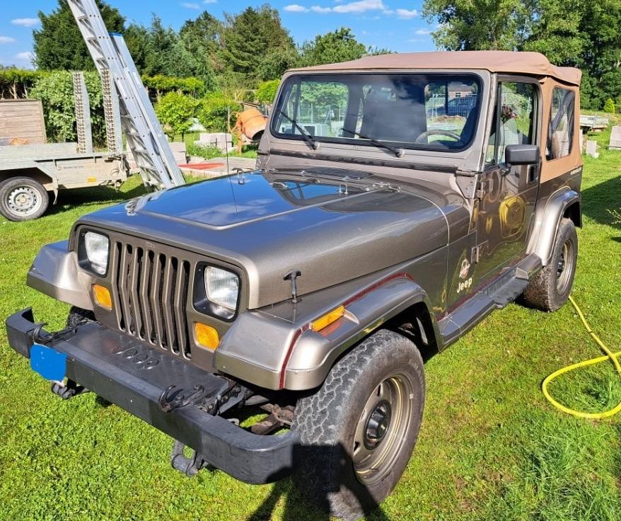 JEEP Wrangler Sahara - 1991 LesAnciennes.com