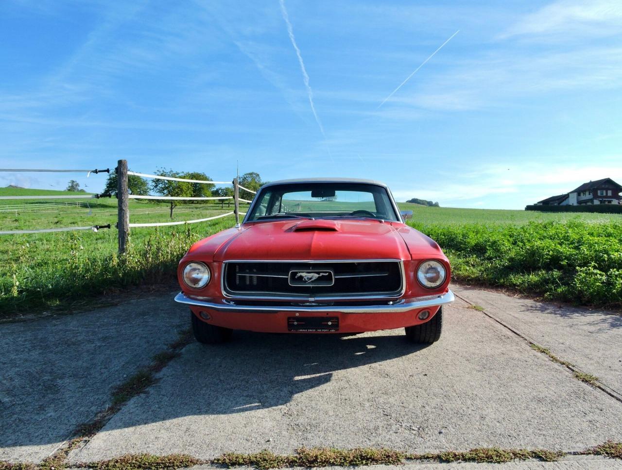 1968 FORD Mustang 289, foto 1