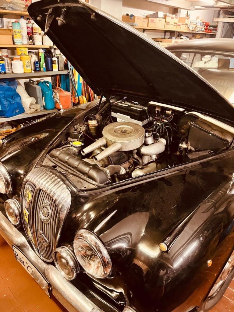 DAIMLER 2.5 V8 - 1963 LesAnciennes.com