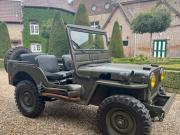 image_5-JEEP Willys CJ - 1950