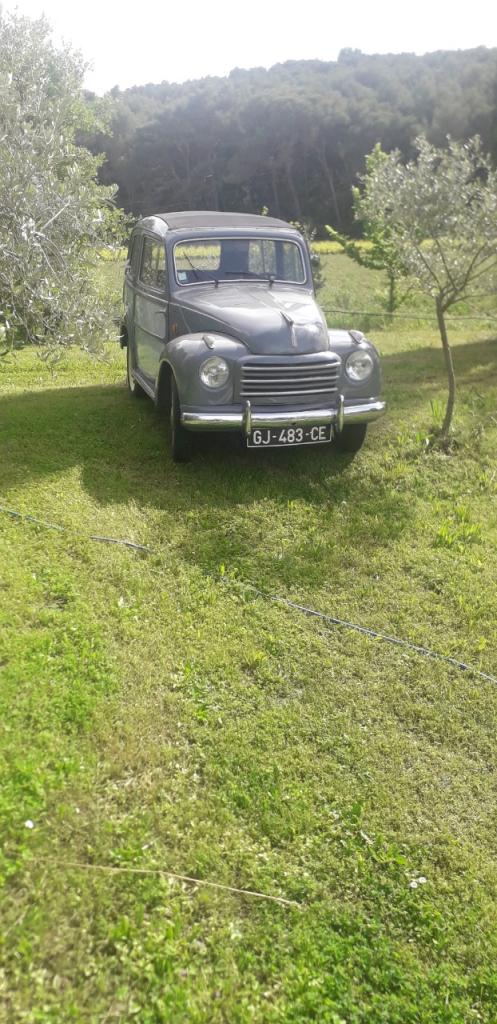 FIAT 600 Topolino belvedere - 1955 LesAnciennes.com