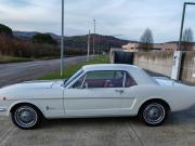 image_3-FORD Mustang 200 3.3 V6 122 cv - 1966
