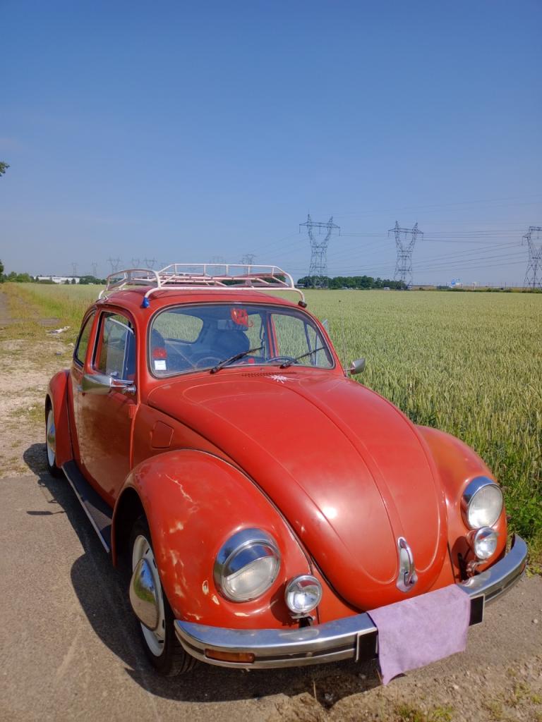 VOLKSWAGEN Coccinelle Mexico - 1985 LesAnciennes.com