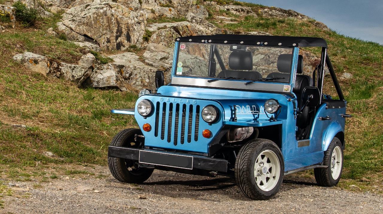 DALLAS HRUBON HRUBON - 1982 LesAnciennes.com