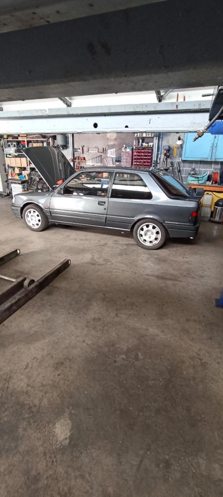 PEUGEOT 309 GTI16 - 1991 LesAnciennes.com