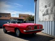 image_5-ALFA ROMEO Spider 2000 Coda Tronca - 1976