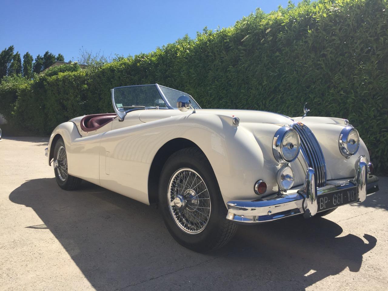 JAGUAR XK140 - 1955 LesAnciennes.com