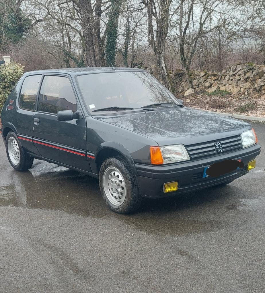 PEUGEOT 205 Gti 1.6 115 ch - 1986 LesAnciennes.com
