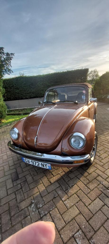 VOLKSWAGEN Coccinelle décapotable - 1976 LesAnciennes.com