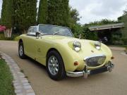 image_5-AUSTIN HEALEY Sprite Mk1 - Frogeye - 1959