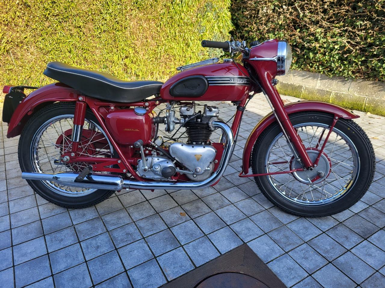 TRIUMPH Speed Twin 5T - 1955 LesAnciennes.com