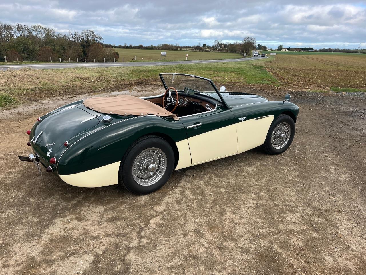 AUSTIN HEALEY 100/6 100/6 BN4 - 1958 LesAnciennes.com