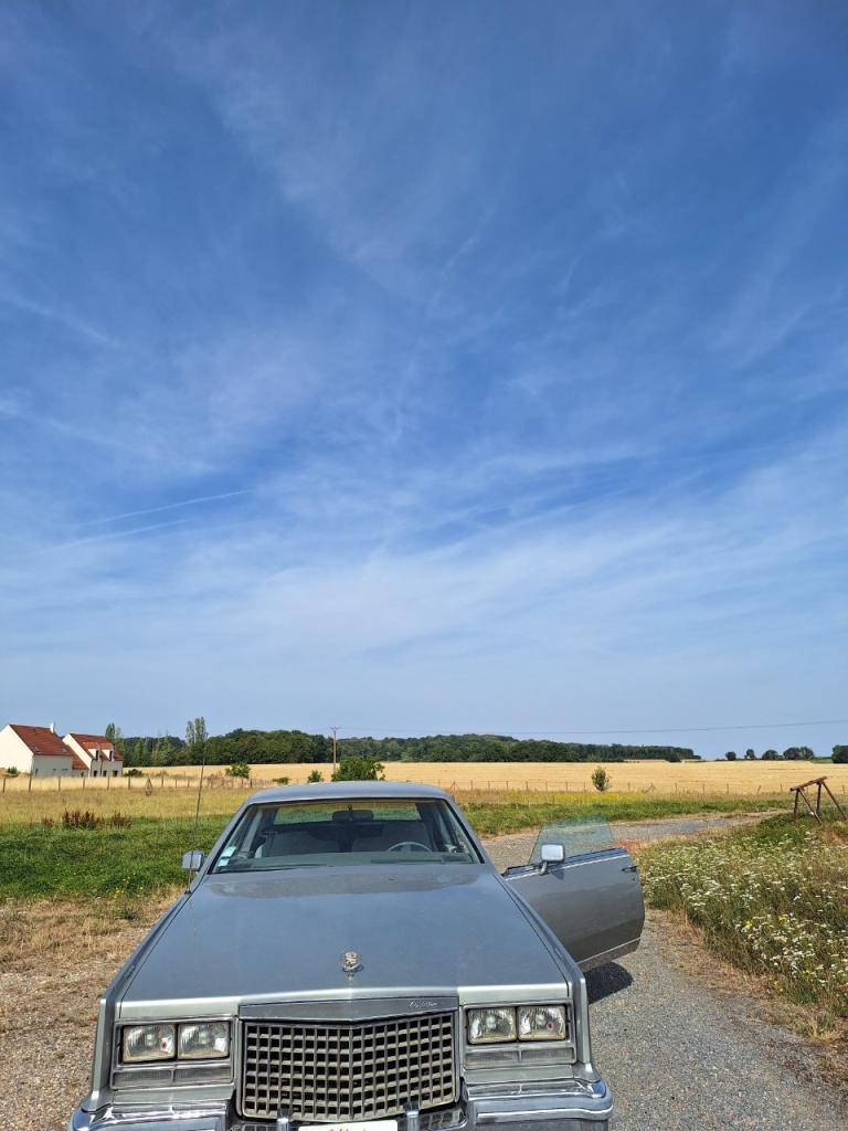 CADILLAC Eldorado - 1980 LesAnciennes.com