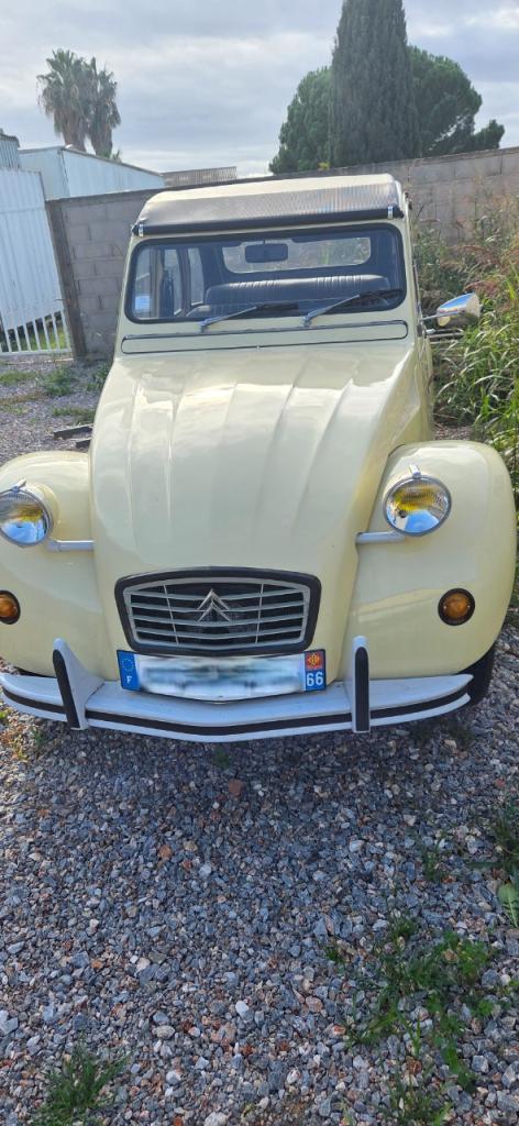 CITROEN 2CV 4 - 1979 LesAnciennes.com
