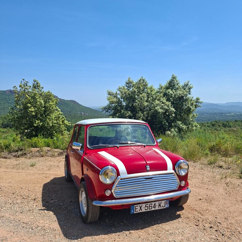 ROVER Mini Mayfair - 1989 LesAnciennes.com