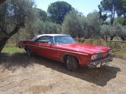 image_0-OLDSMOBILE 88 royale convertibile - 1974