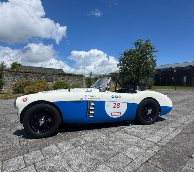 AUSTIN HEALEY 100 BN2 - 1956 LesAnciennes.com