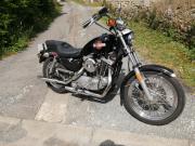 image_0-HARLEY DAVIDSON Sportster 1000 fonte - 1984
