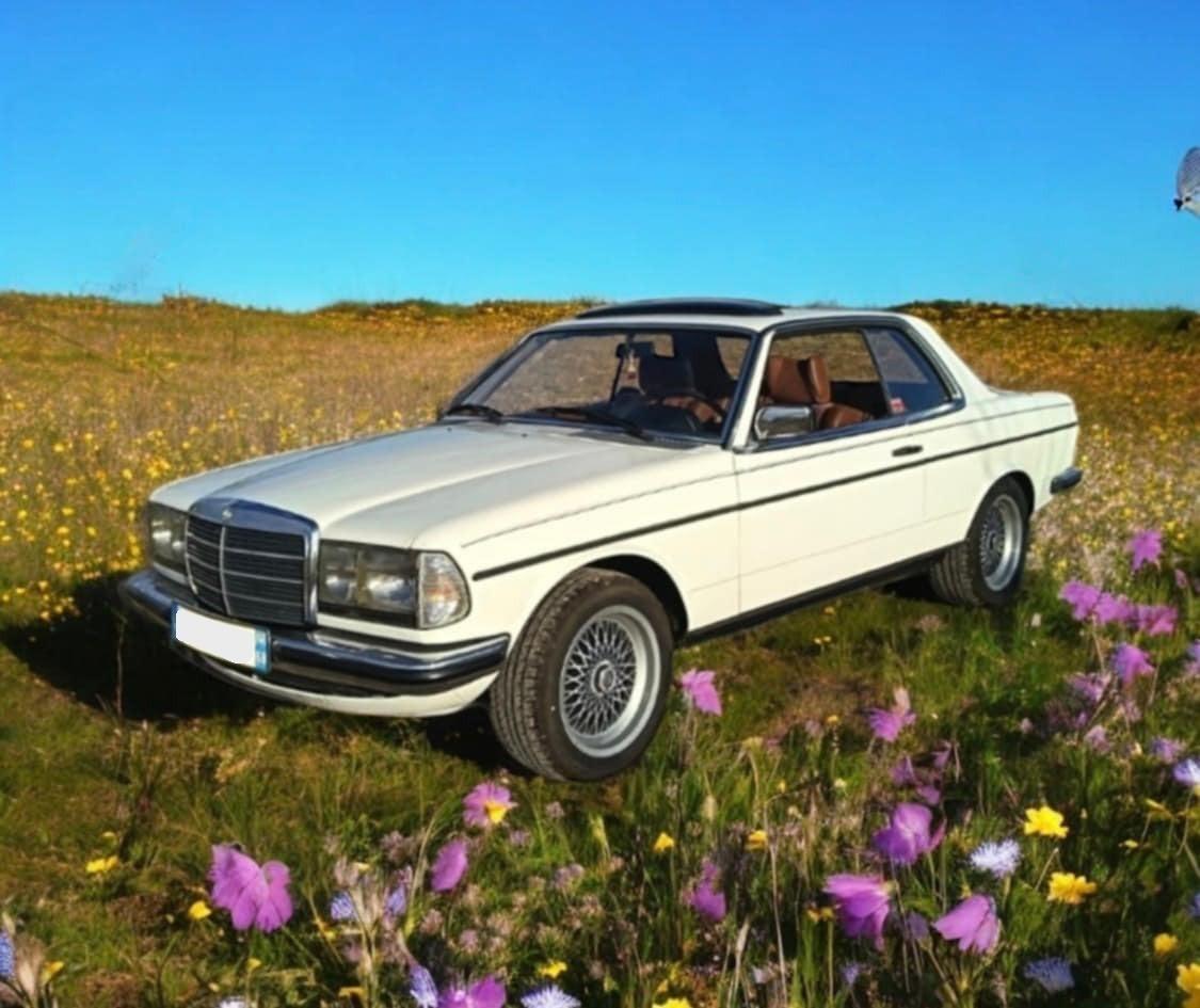 MERCEDES 230 C 2,3L à carburateur - 1977 LesAnciennes.com