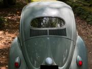 image_4-VOLKSWAGEN Coccinelle OVAL - 1957