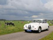 image_3-JAGUAR 240 Overdrive - 1968