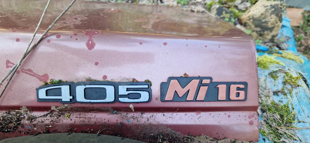 Capot arriére Peugeot 405 Mi16 LesAnciennes.com