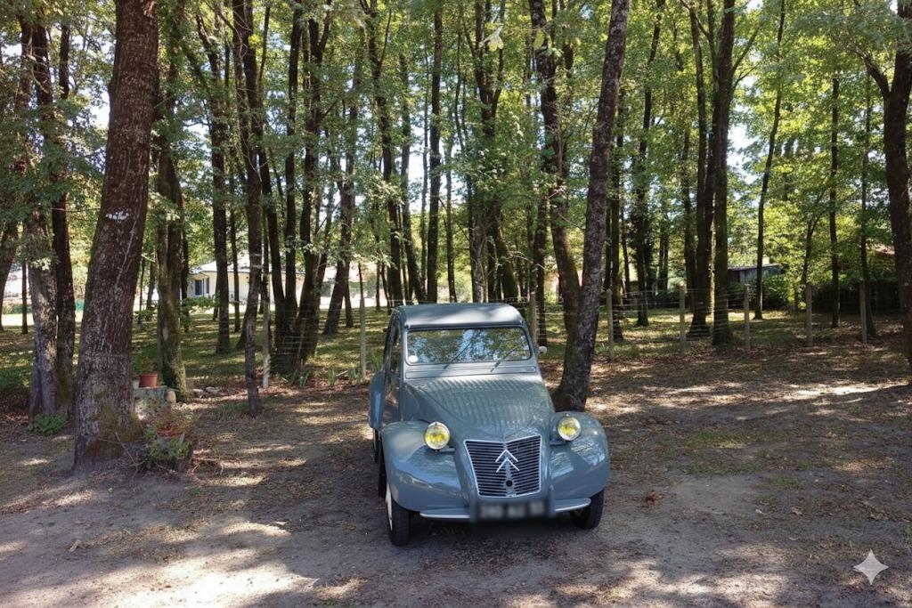 CITROEN 2CV A - 1956 LesAnciennes.com