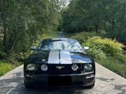 image_2-FORD Mustang
