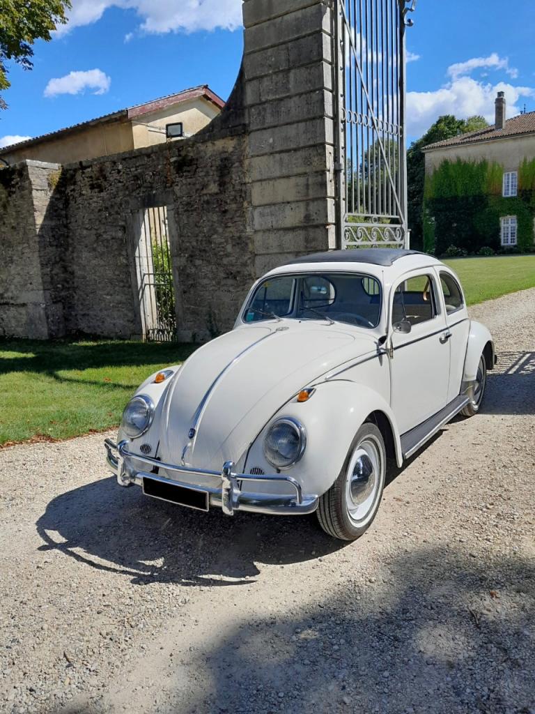 VOLKSWAGEN Coccinelle - 1962 LesAnciennes.com