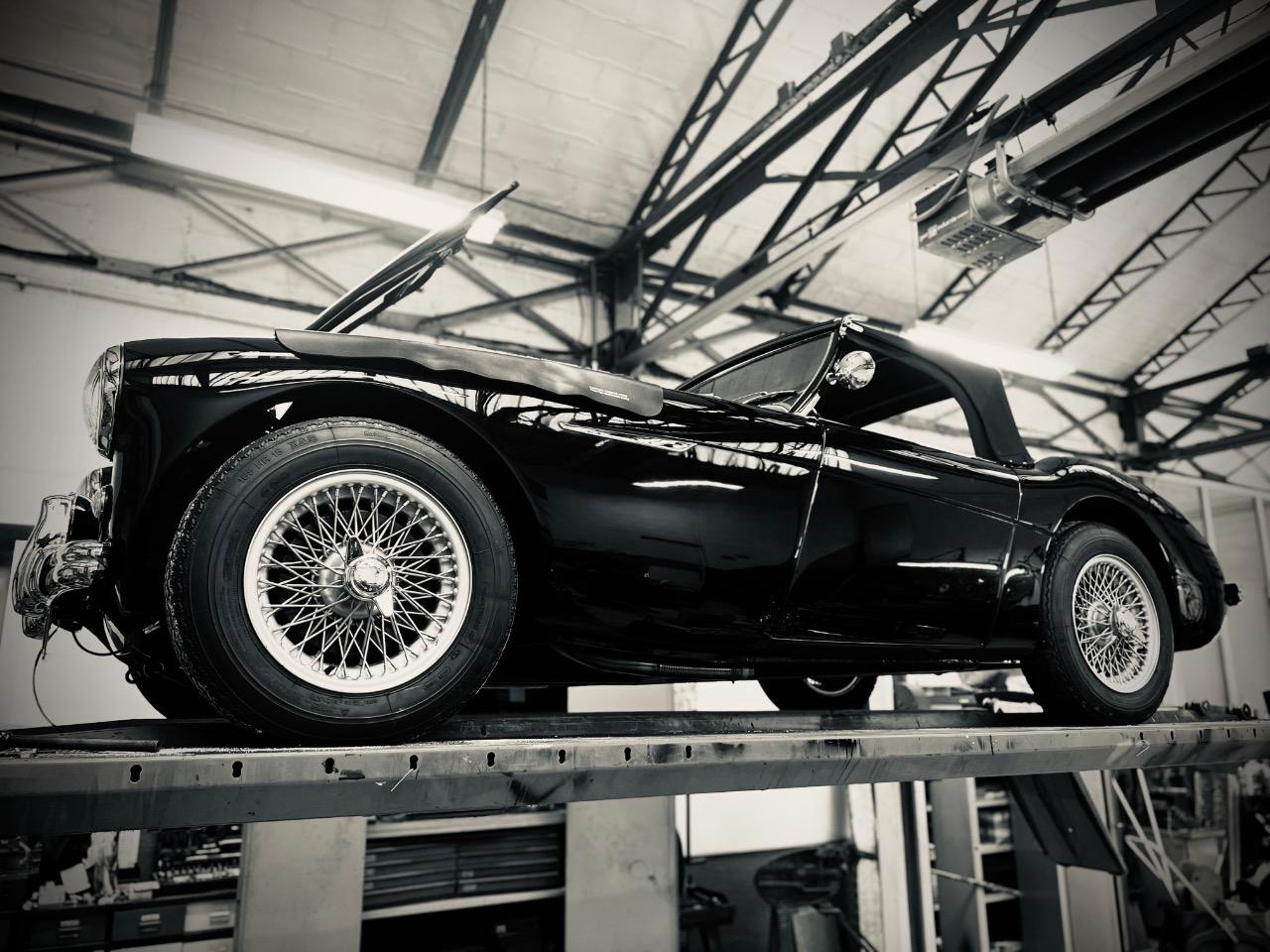 AUSTIN HEALEY 100 BN2 - 1956 LesAnciennes.com