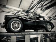 image_0-AUSTIN HEALEY 100 BN2 - 1956