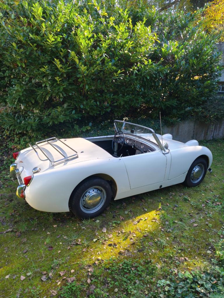 AUSTIN HEALEY Sprite Frogeye - 1960 LesAnciennes.com