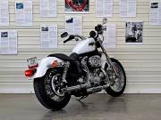 image_4-HARLEY DAVIDSON Sportster 883 LOW