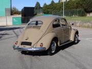 image_4-VOLKSWAGEN Coccinelle 11 Sedan Oval - 1954