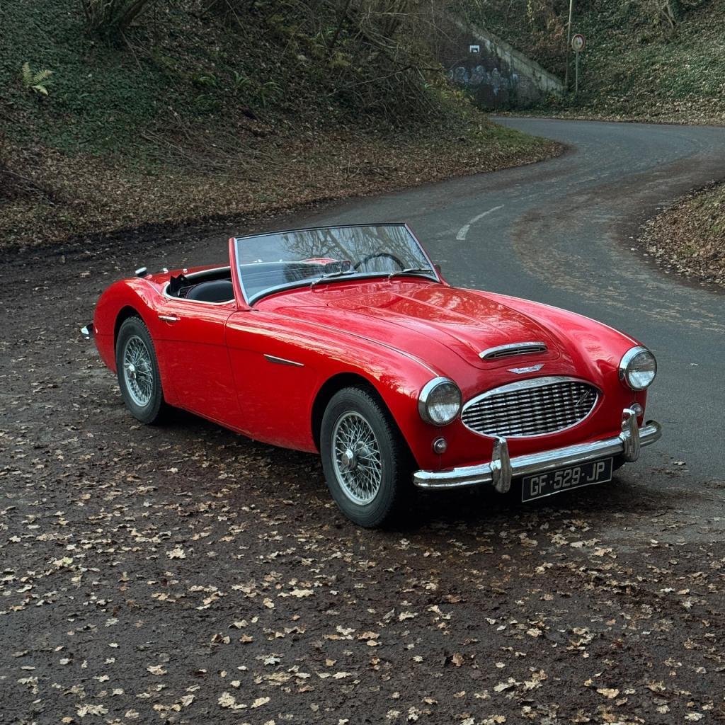 AUSTIN HEALEY 100 BN6 - 2 places - 1958 LesAnciennes.com