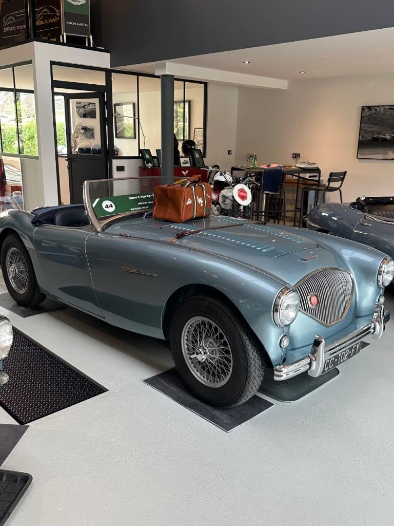 AUSTIN HEALEY 100 BN1 - 1954 LesAnciennes.com