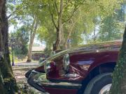 image_1-CITROEN DS dS 21 CONFORT - 1966